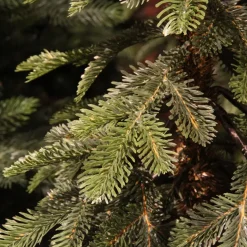 Albero di Natale artificiale (H180 cm) Sierra Verde abete