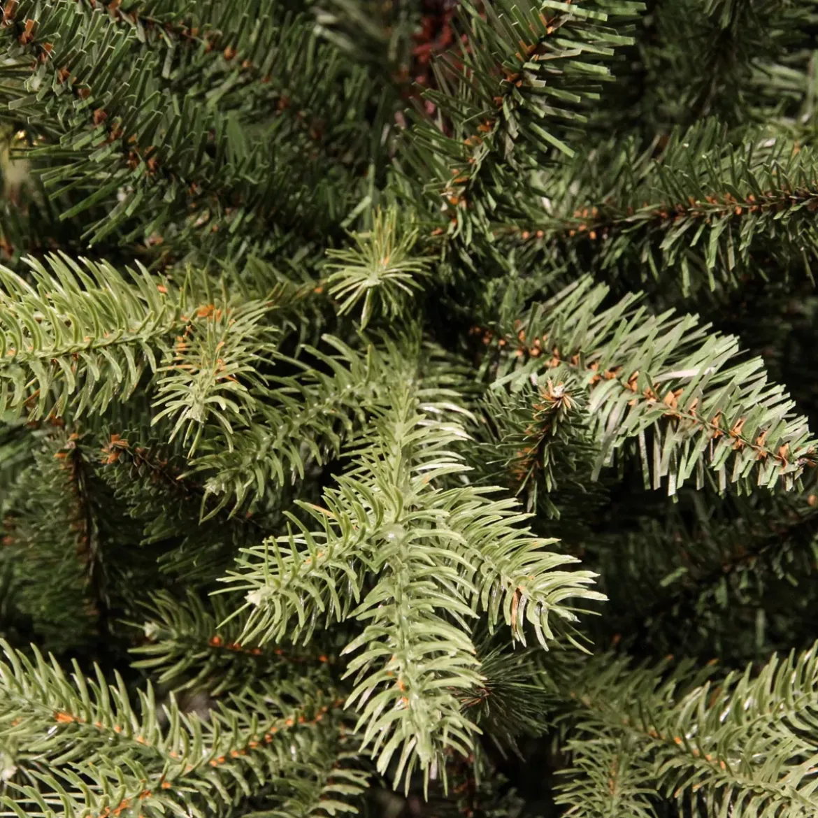 Albero di Natale artificiale Allix Alt. 210 cm Verde abete
