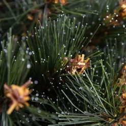 Albero di Natale artificiale H210 cm Stockholm Verde brinato