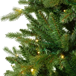 Albero di Natale artificiale luminoso 5400 LED (H240 cm) Caucasia Nordmann Verde abete