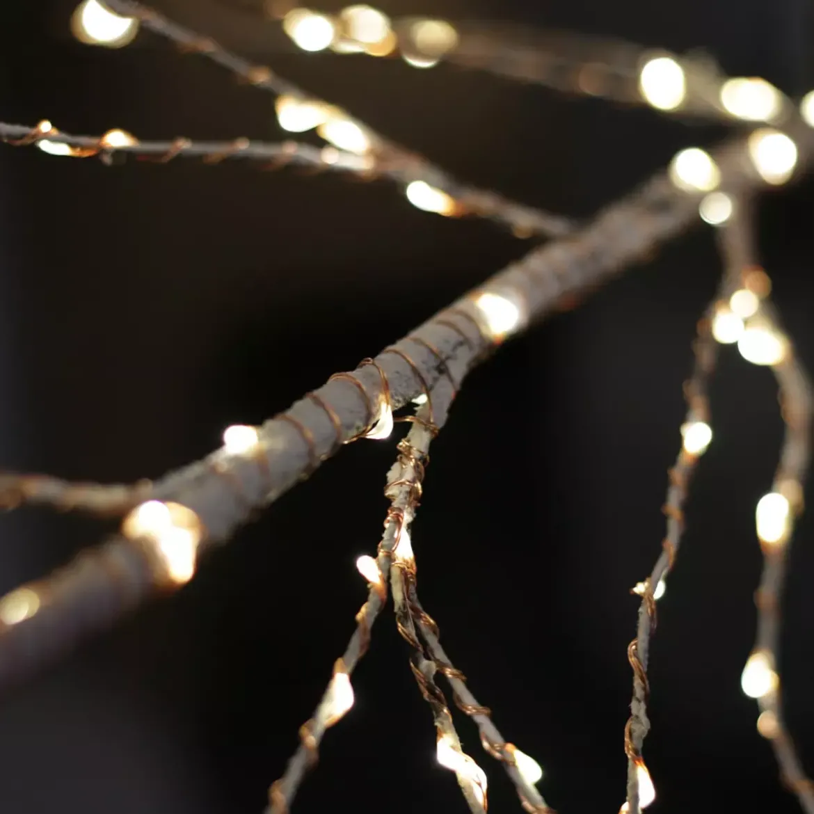 Albero luminoso 750 LED (H220 cm) Betulla Bianco caldo