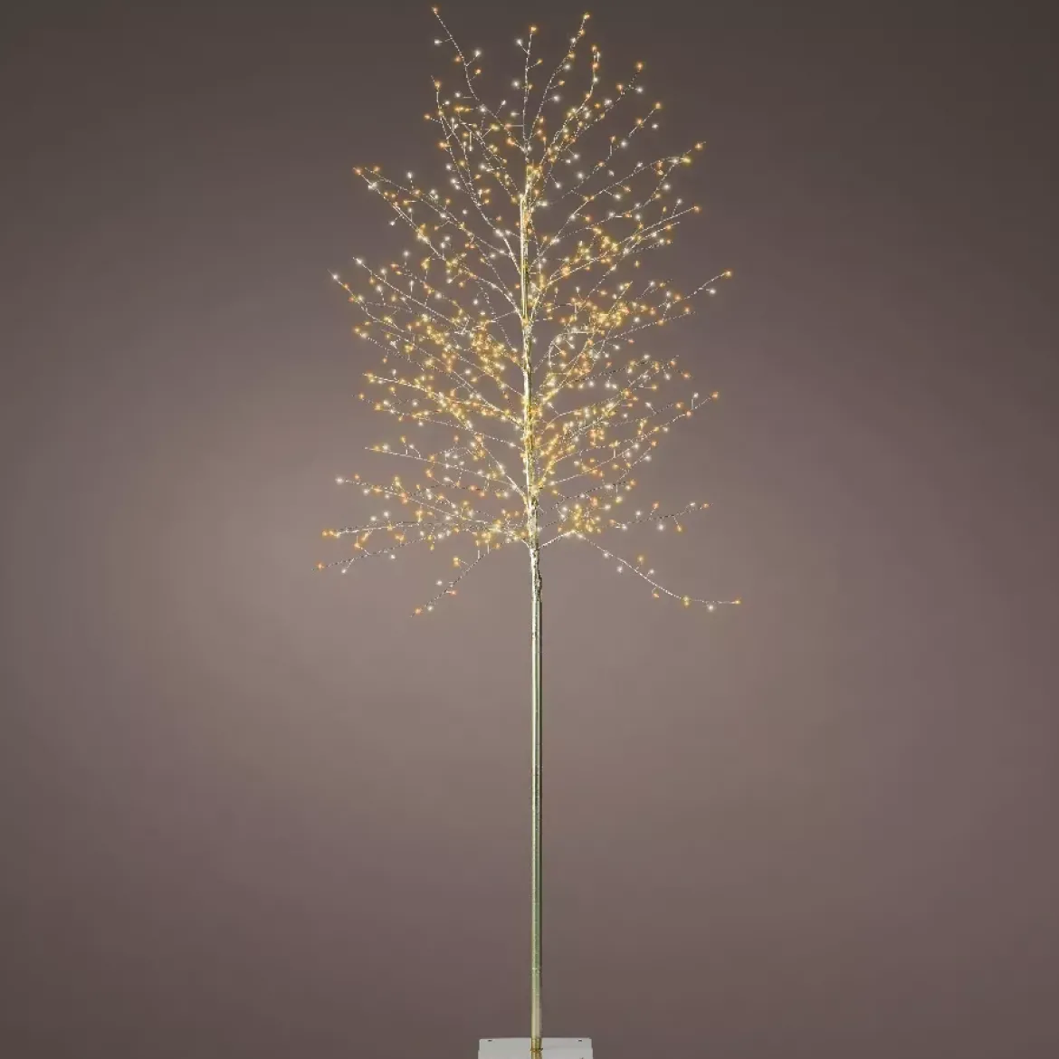 Albero luminoso 720 LED (H180 cm) Holly Platano Bianco e bianco caldo