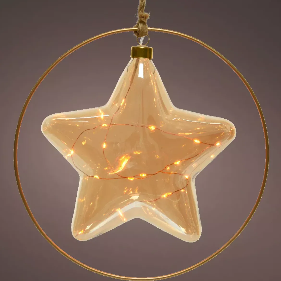 Decorazione da appendere luminosa a pile 15 LED (D26 cm) Stella Invernale Ambra/bianco caldo
