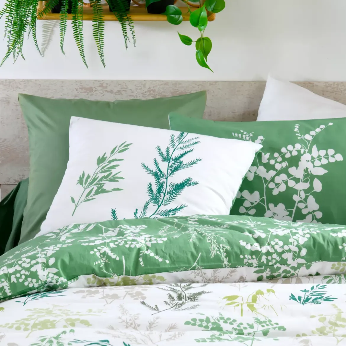 Federa per cuscino rettangolare in percalle (50 x 70 cm) Sylvana Verde