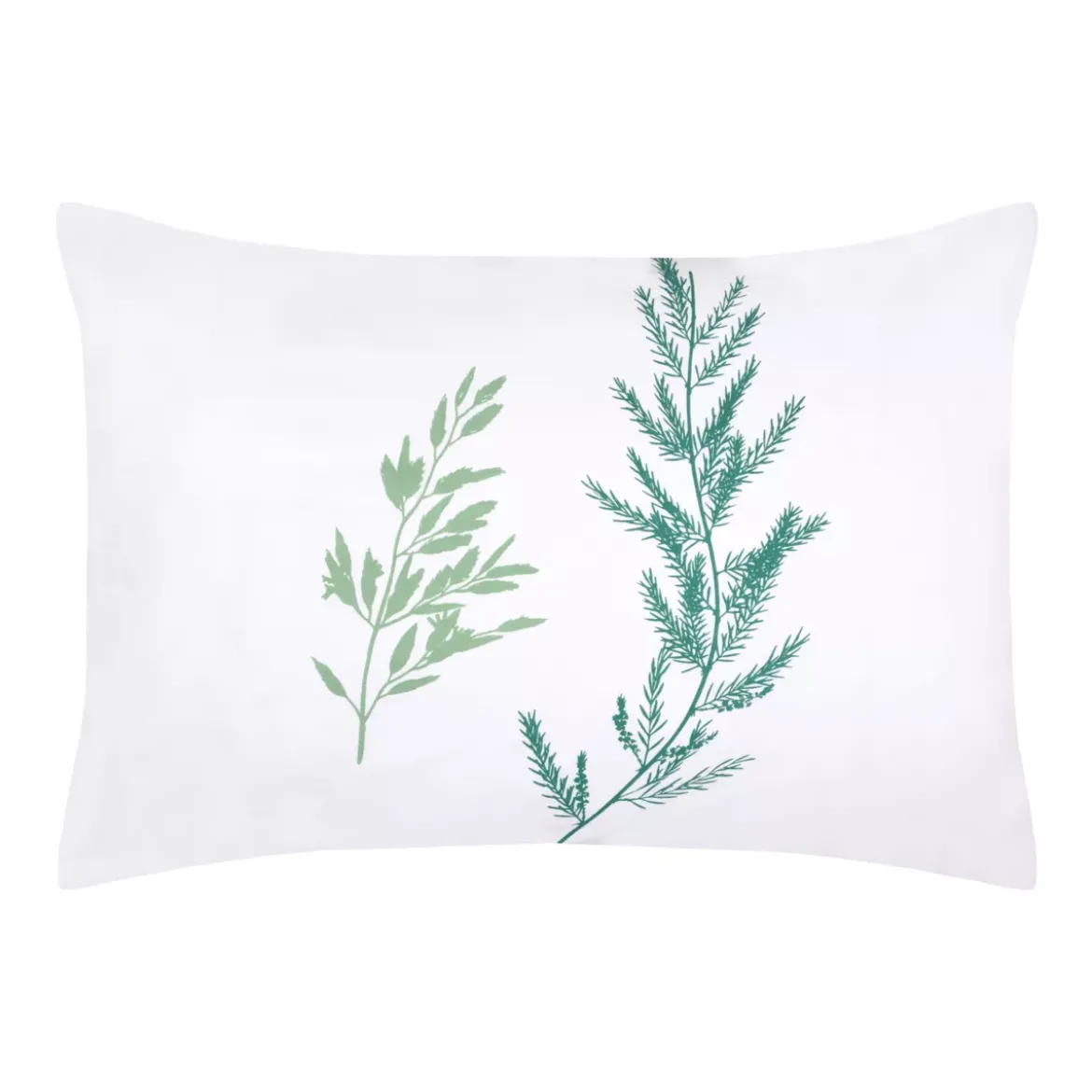 Federa per cuscino rettangolare in percalle (50 x 70 cm) Sylvana Verde