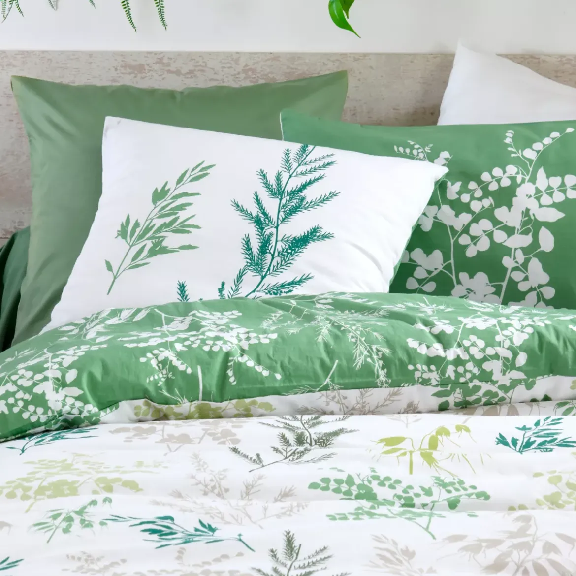 Federa quadrata in percalle (63 x 63 cm) Sylvana Verde