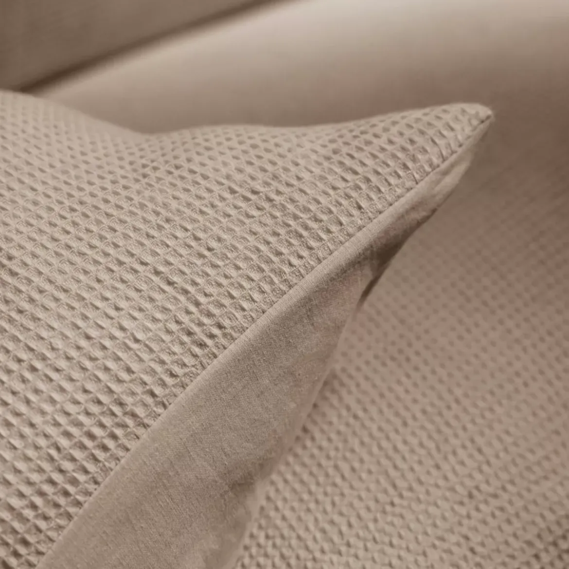 Federa Rettangolare in cotone a nido d'ape (50 x 70 cm) Eva Corda