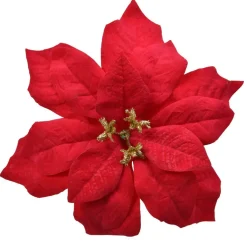 Fiore di Natale Giana a clips Rosso