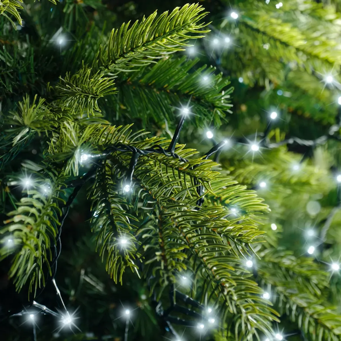 Ghirlanda luminosa Lusso 22,50 m Bianco freddo 1000 LED CV