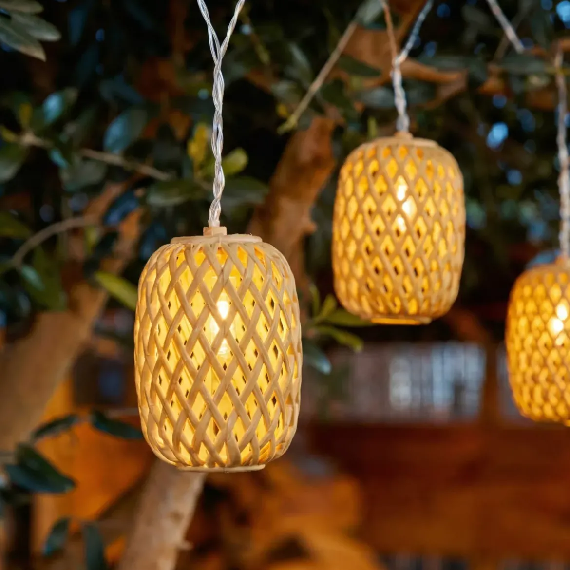 Ghirlanda luminosa solare 4,5 cm 10 LED (H28 cm) Balista Naturale