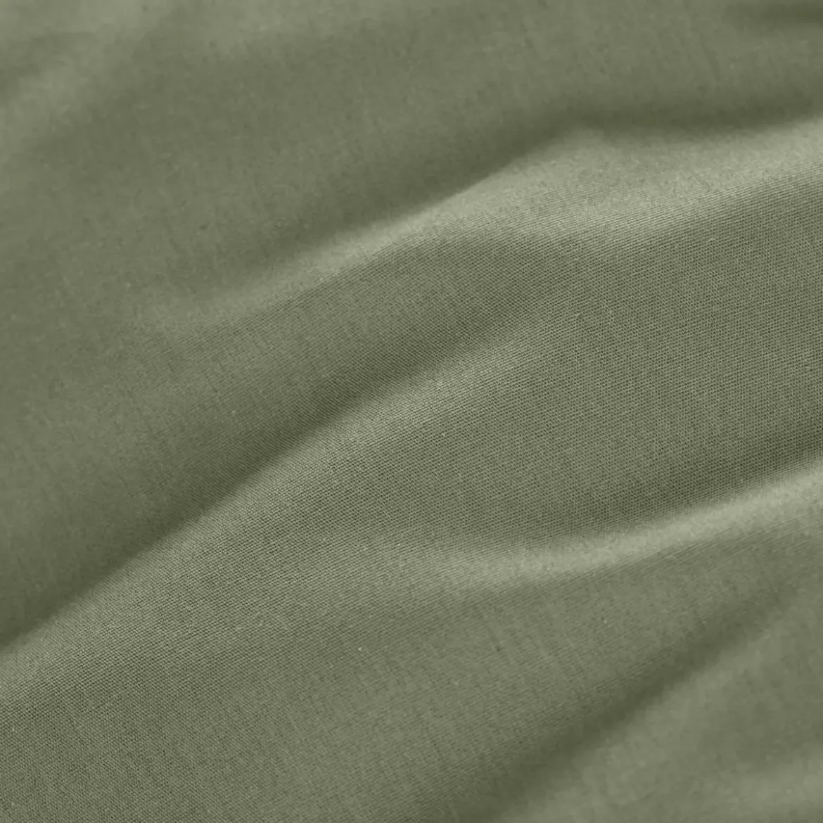 Lenzuolo con angoli percalle di cotone (140 cm) Cali Verde rosmarino