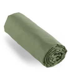 Lenzuolo con angoli percalle di cotone (200 cm) Cali Verde rosmarino