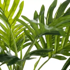 Palma in vaso Etnik Verde