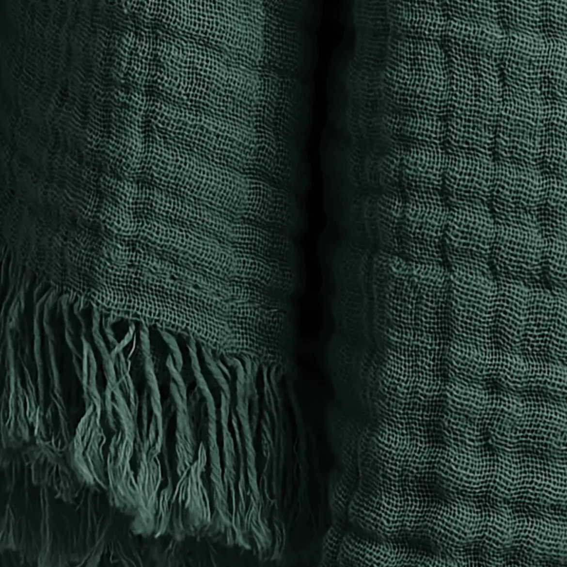 Plaid in garza di cotone (180 x 220 cm) Gaïa Verde abete