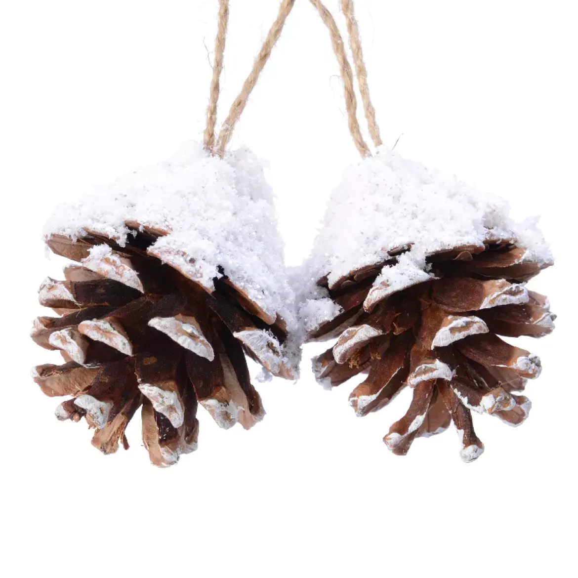 Set di 2 pigne Pini Naturale