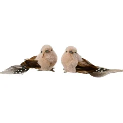 Set di 2 Uccelli con clip (L12 cm) Piuma naturale Marrone e crema